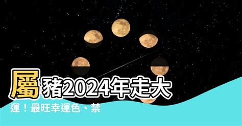 豬的幸運色|【屬豬幸運色】屬豬者專屬幸運色！2024豬年最強運勢指南